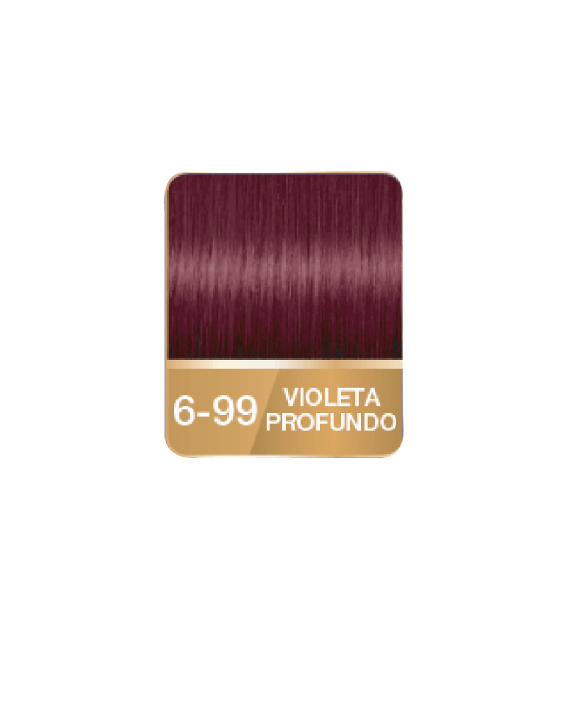 PALETTE VIOLETA PROFUNDO 6-99 X50 ML